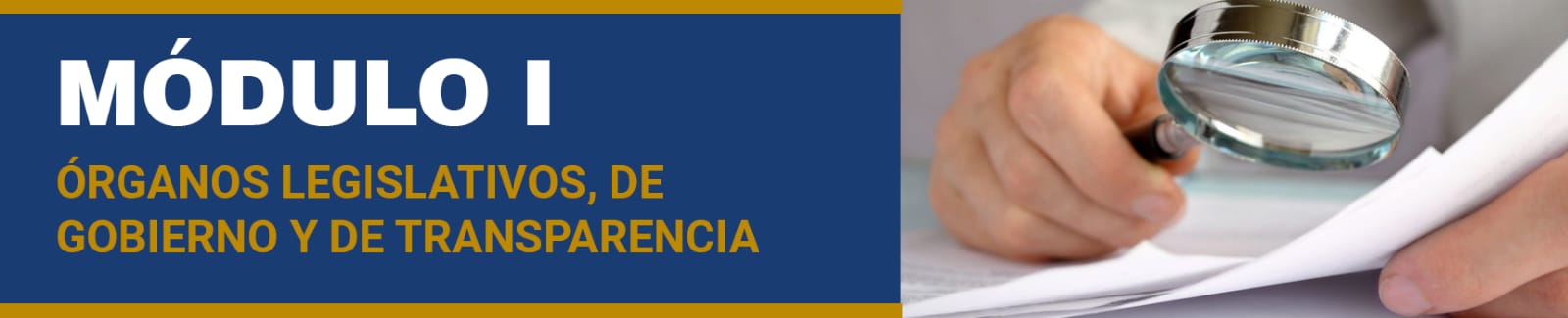 MÓDULO I